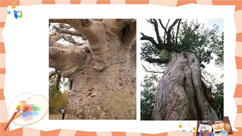 岭南版2上美术第8课《给树爷爷画像》课件+教案07