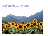《前前后后》课件2