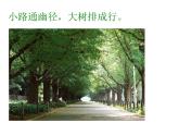 《前前后后》课件2