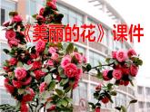 《美麗的花》課件1