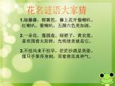 《美麗的花》課件1