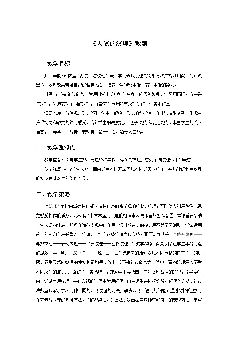 《天然的纹理》教案1第1页