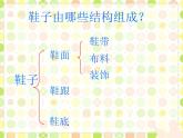 《各式各样的鞋》课件1