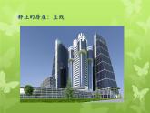 《生活中的線條》課件1