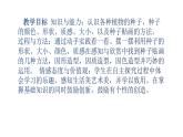 人教版四年級美術(shù)下冊 第3課 “五谷”作畫  課件