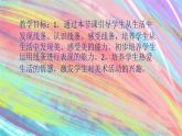 人美版一年级美术下册 4.我们身边的线条  课件