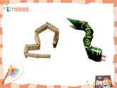 嶺南版2上美術(shù)第6課《可愛的玩具蛇》教案+課件