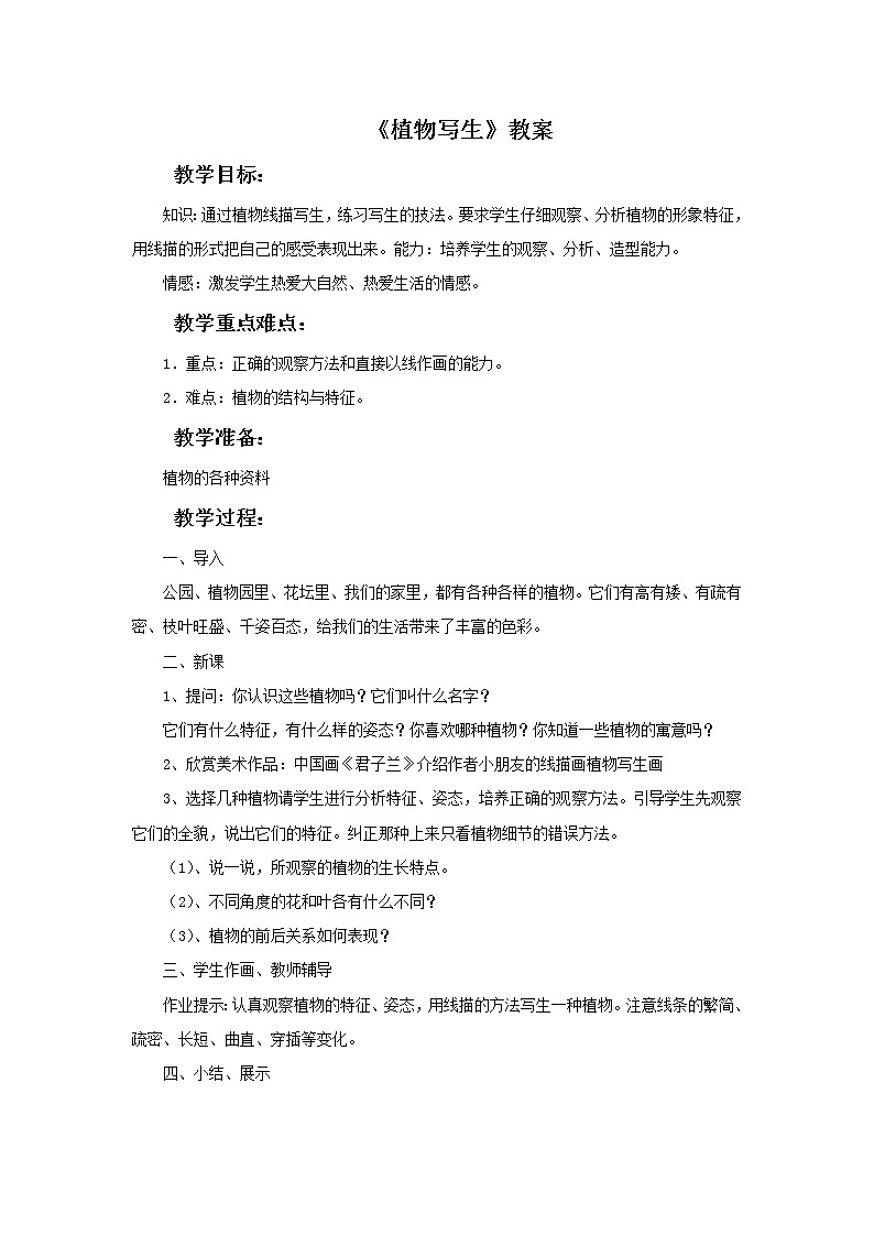 《植物写生》教案1第1页