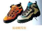 浙美版美术五年级下册12.运动鞋写生课件+教案+素材