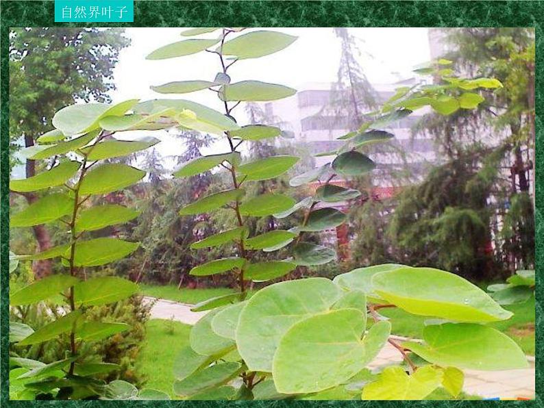 五年级下册美术课件－11.重复与渐变 ｜岭南版第2页