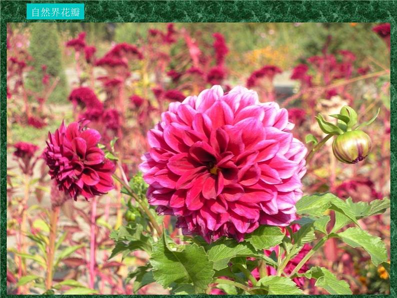 五年级下册美术课件－11.重复与渐变 ｜岭南版第3页