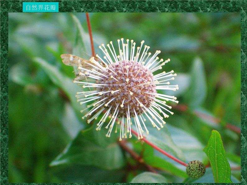 五年级下册美术课件－11.重复与渐变 ｜岭南版第4页