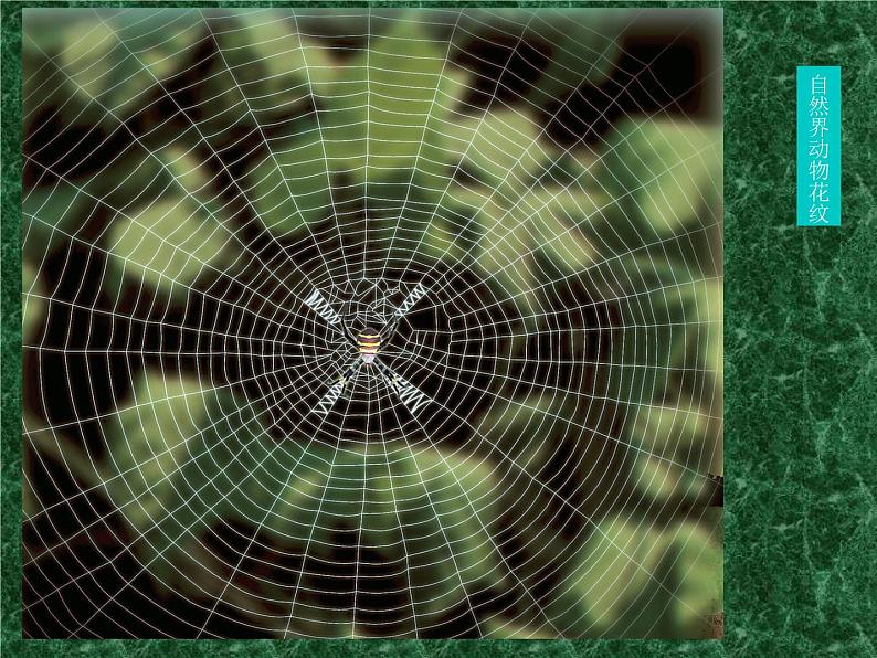 五年级下册美术课件－11.重复与渐变 ｜岭南版第6页