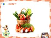 嶺南版2上美術(shù)第9課《我家的菜籃子》教案+課件