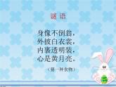 一年级上册美术课件-第9课  漂亮的彩蛋｜辽海版