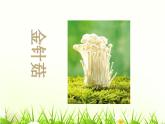 一年级下册美术课件-第18课  蘑菇家园丨浙美版