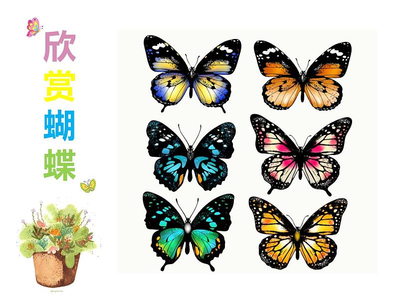 一年级下册美术课件-第3课  漂亮的蝴蝶丨赣美版第4页