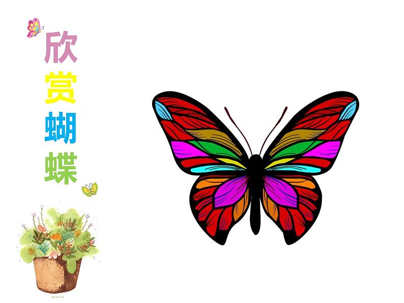 一年级下册美术课件-第3课  漂亮的蝴蝶丨赣美版第6页
