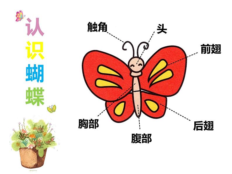 一年级下册美术课件-第3课  漂亮的蝴蝶丨赣美版第7页