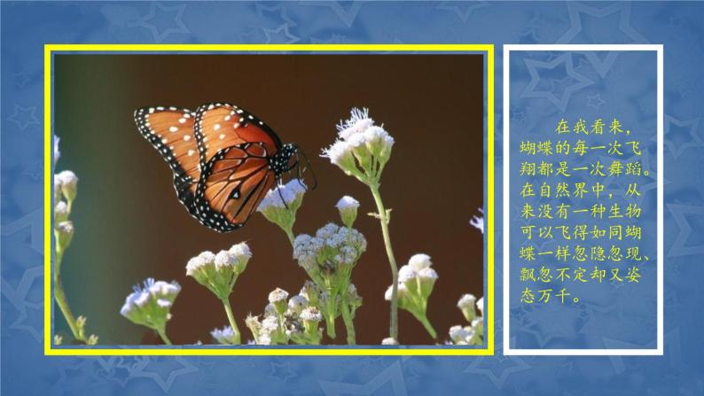 一年级下册美术课件-第11 课 会飞的花朵｜辽海版  (3)07