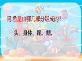 一年级下册美术课件-第13 课 给鱼穿上花衣裳｜辽海版