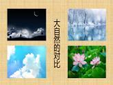《色彩的对比》课件02