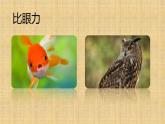 《色彩的对比》课件02