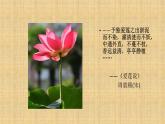 《鸟语花香》课件03