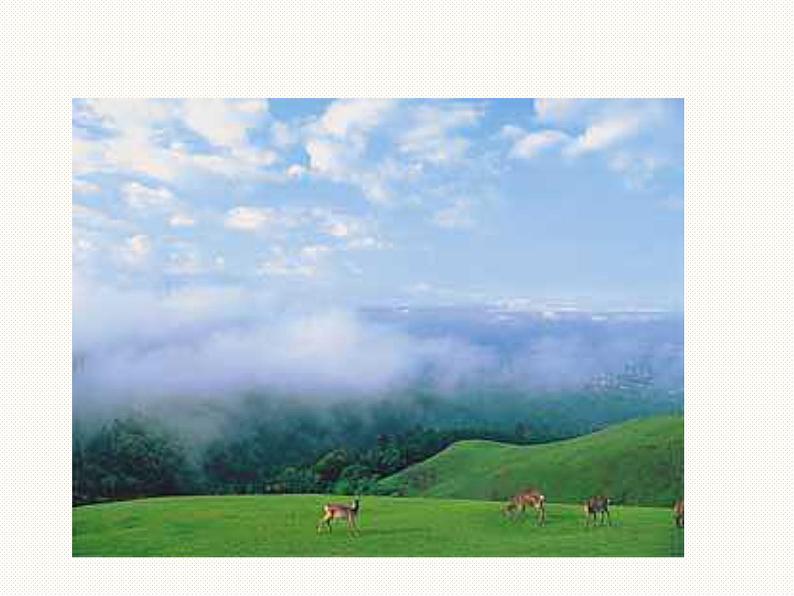 《心中的太阳》课件1第7页