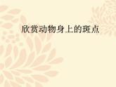 2022年浙美版美术一年级上册17 动物身上的斑点-课件+教案