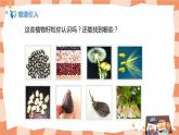 人美版美術(shù)三上第3課《有趣的拼圖》課件+教學(xué)設(shè)計
