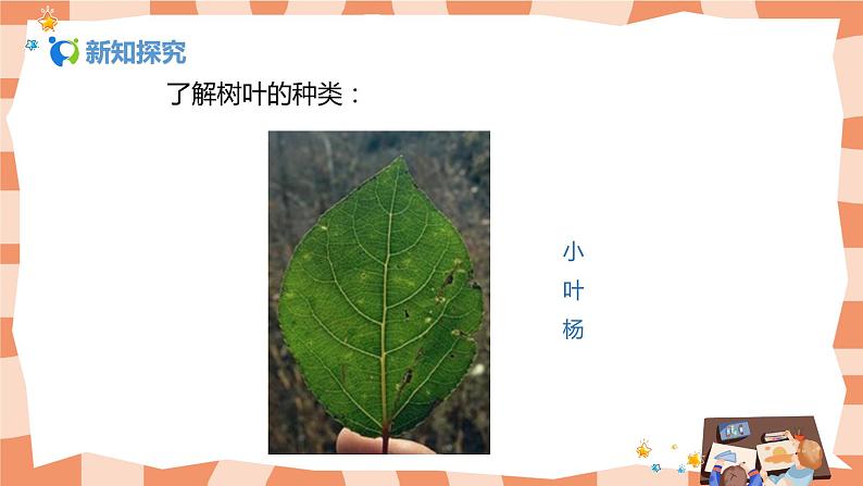 人美版美术三上第11课《拓印树叶真有趣》课件+教学设计06