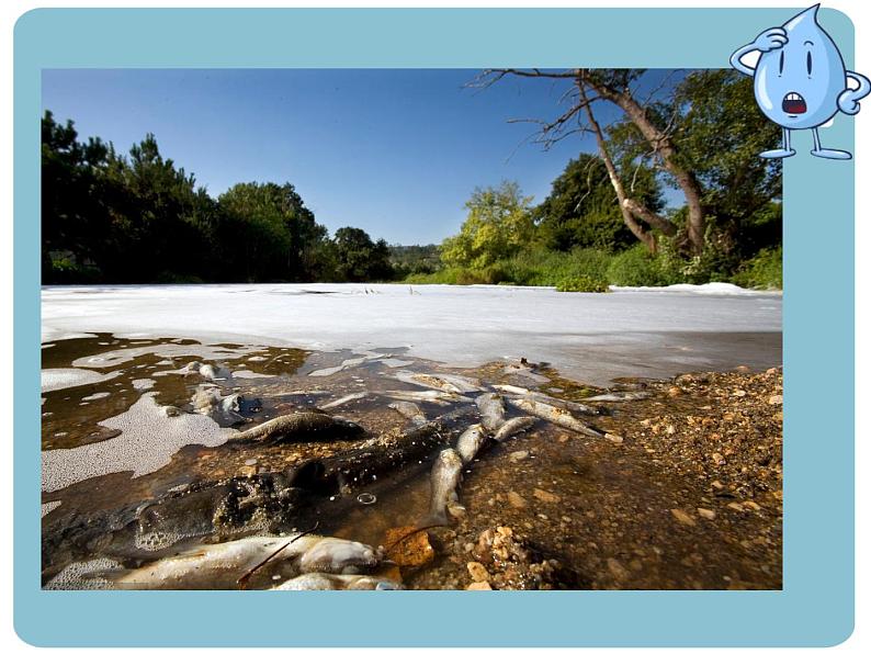 浙美版-四年级上册-1水资源---课件(14张PPT)04