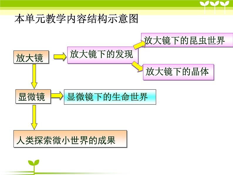 最新赣美版三年级美术下册7放大镜-课件第3页