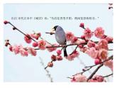 最新赣美版小学美术五年级下册14、鸟语花香课件