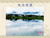 最新赣美版小学美术五年级下册3、风光无限课件