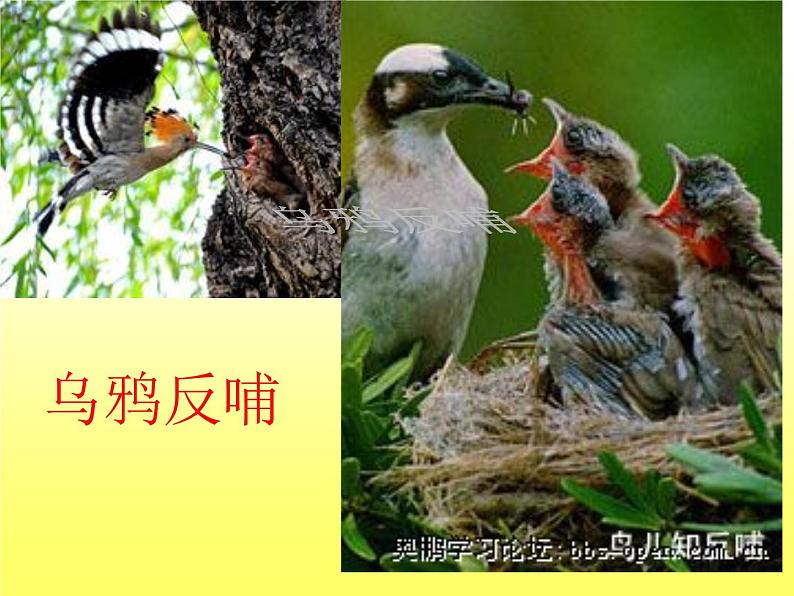 最新赣美版小学四年级下册美术6、献给母亲的礼物课件第7页