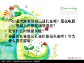 赣美版一年级美术下册第4课-美丽的孔雀课件