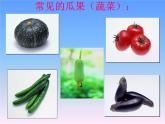 美術(shù)二年級上湘教版5瓜果飄香課件