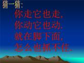 美術(shù)二年級下湘教版17影子大王課件(21張)