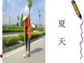 美術(shù)四年級(jí)上湘教版11城市美容師課件1