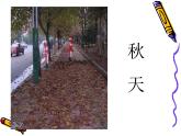 美術(shù)四年級(jí)上湘教版11城市美容師課件1