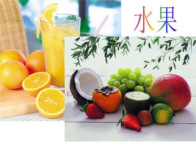 美术四年级下湘教版8静物一家课件4第4页