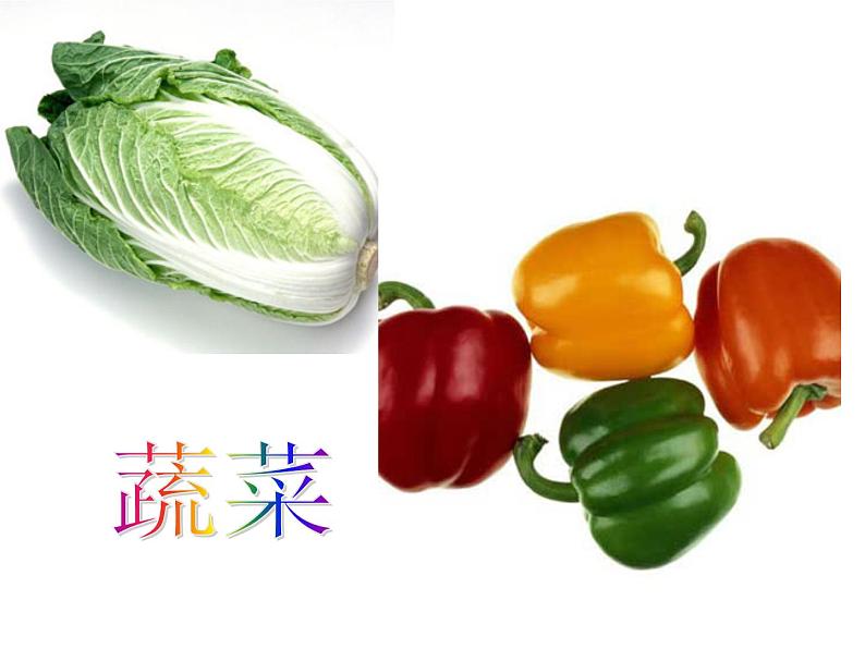 美术四年级下湘教版8静物一家课件4第5页