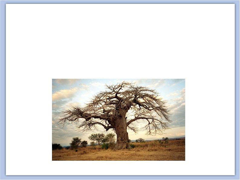 赣美版美术三年级上册 第6课 神奇的大树 课件PPT02