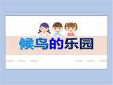 赣美版美术三年级上册 第16课 候鸟的乐园 课件PPT