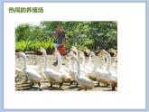 赣美版美术四年级上册 《快乐丰收忙（儿歌配画）》课件