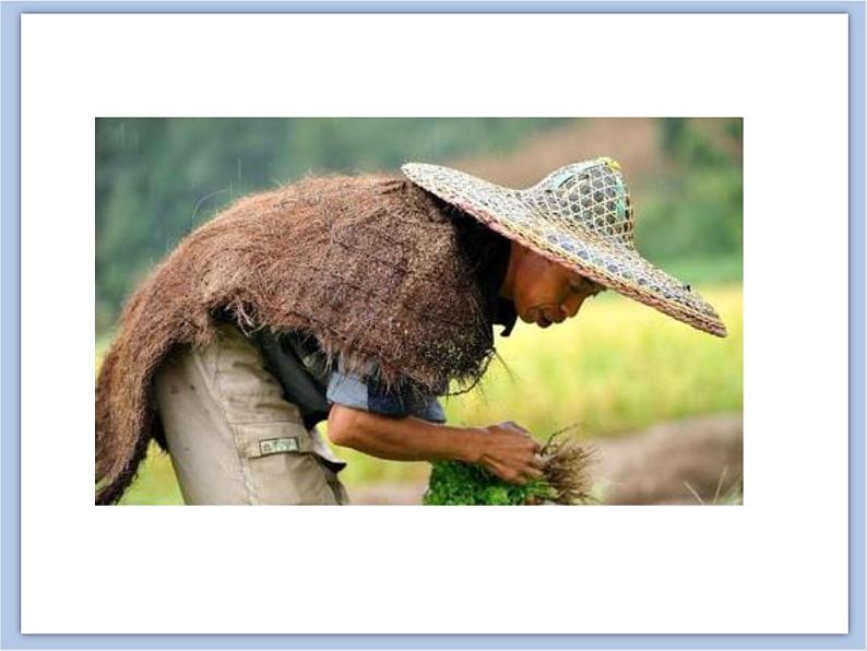 《我编斗笠送亲人》课件(1)第7页