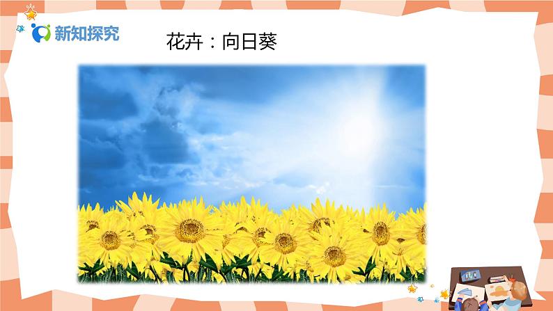 人美版美术五上第10课《色彩的色相》课件+教学设计06