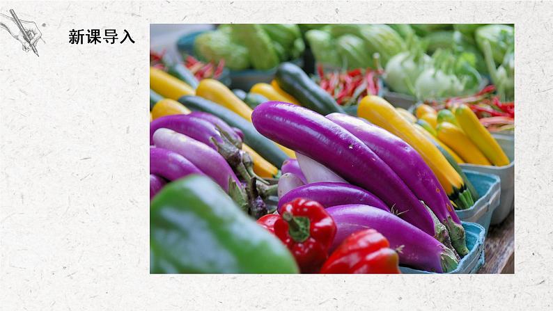 第4课《买菜》课件PPT+教学设计06